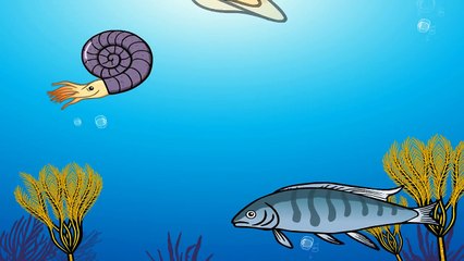 바닷속 해룡이 궁금해요! | 엘라스모사우루스, 무라이오노사우루스, 플레시오사우루스, 펠로네우스테스 | 지니★공룡상식 Dino animation for kids