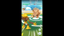Pokémon GO Gym Battles Sabrina Theme Alakazam Kadabra Abra Exeggutor Hypno Jynx & more