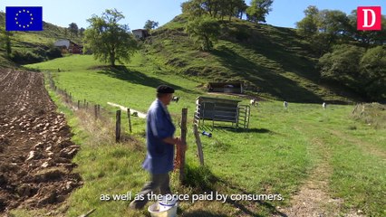 PAC : témoignage d'éleveur (anglais)