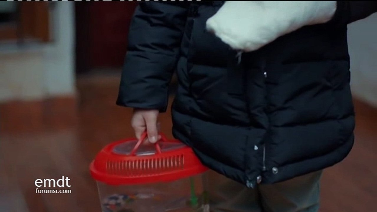 Majka - 29. epizoda (Prva TV)