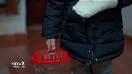 Majka - 29. epizoda (Prva TV)