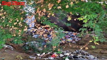 भोपाल में कोचिंग से लौट रही स्टूडेंट से गैंगरेप