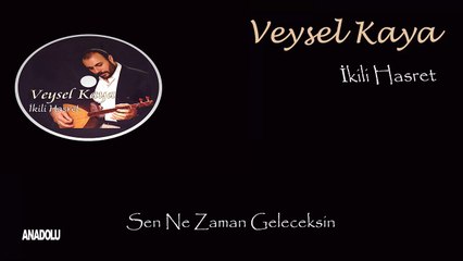 Veysel Kaya - Sen Ne Zaman Geleceksin