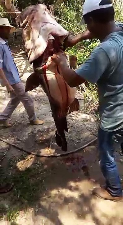 Se não fosse filmado seria só mais uma conversa de pescador