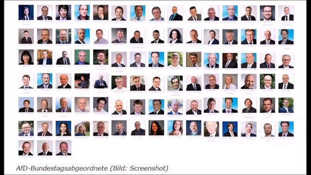 NEIN WIE KANN DAS SEIN ! AFD HAT MEHR POLITIKER MIT MIGRATIONS HINTERGRUND ALS DIE CDU