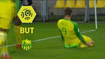But Emiliano SALA (67ème) / FC Nantes - Toulouse FC - (2-1) - (FCN-TFC) / 2017-18
