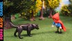 Caperucita Roja Cuento y Canciones | Cuentos Infantiles en Español con Playmobil