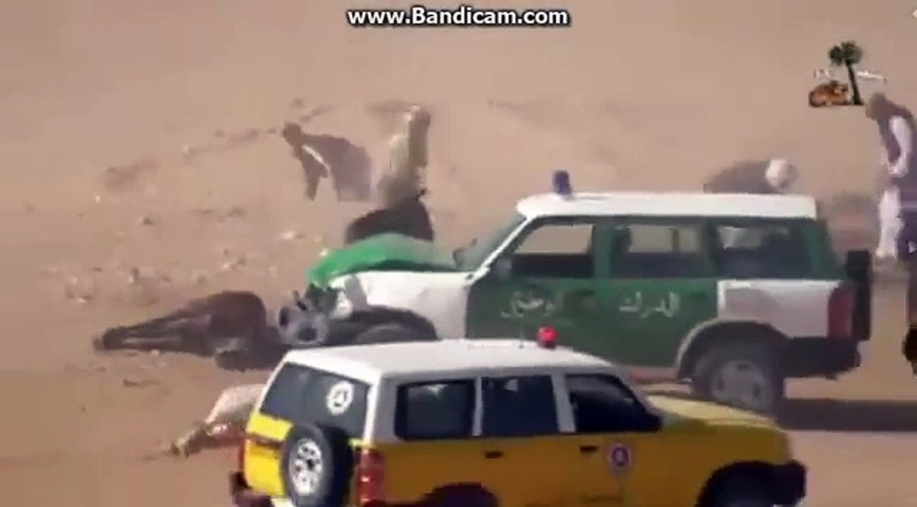 حادث خطير على المباشر بين سيارة الدرك الوطني ومتسابقي الأحصنة  بمناسبة ذكرى 01 نوفمبر