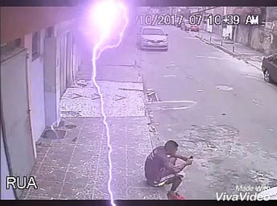 EL PERRO CURIOSO