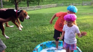 Doggy Dog Bath Time for New Puppy! Baby Gia and Gav Fun!! Cute Bubble Outdoor Play!