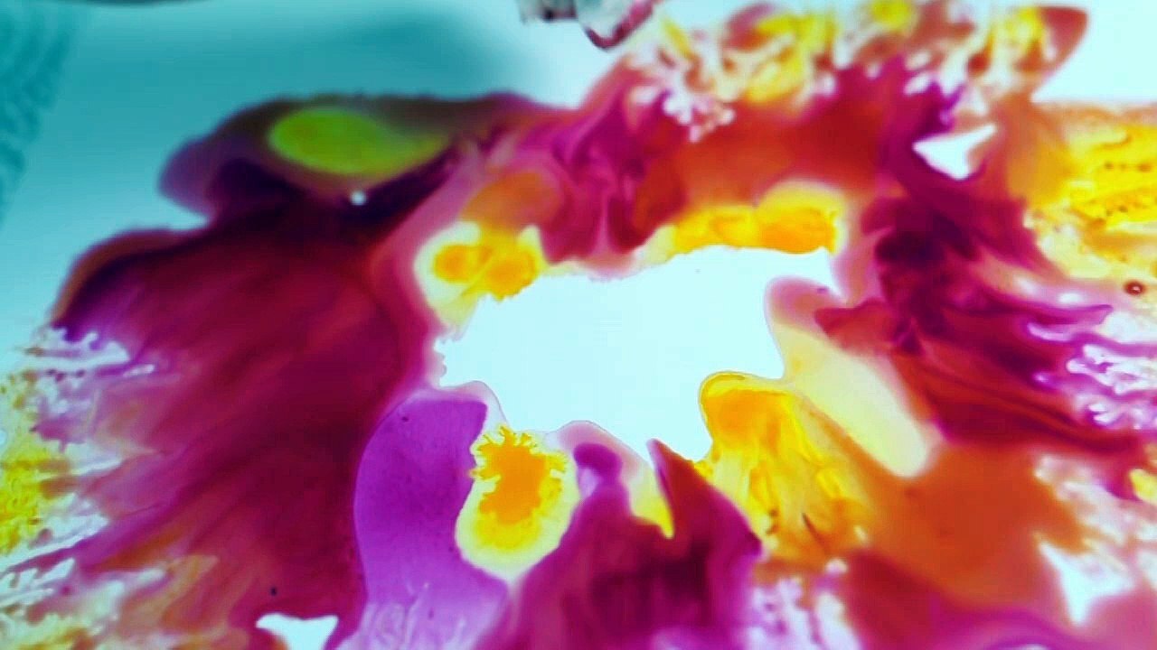 Hot Pink Poppy