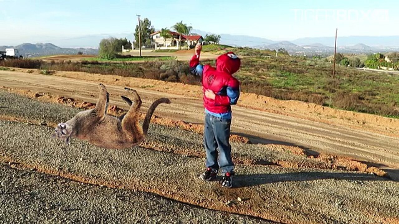 DOC MCSTUFFINS Farting Spiderman Eats McDonalds, Doc Mcstuffins Gives Checkup/Needle For Tummy Ache