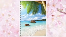 Download PDF 2018 Tropical Beaches Daily Weekly Monthly Planner, 16 Month Agenda Sept. 2017 - Dec. 2018 FREE