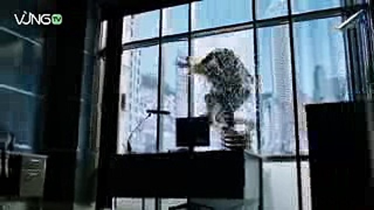 Phim bộ Mỹ hay - Arrow - Mũi Tên Xanh  Vừng Tv