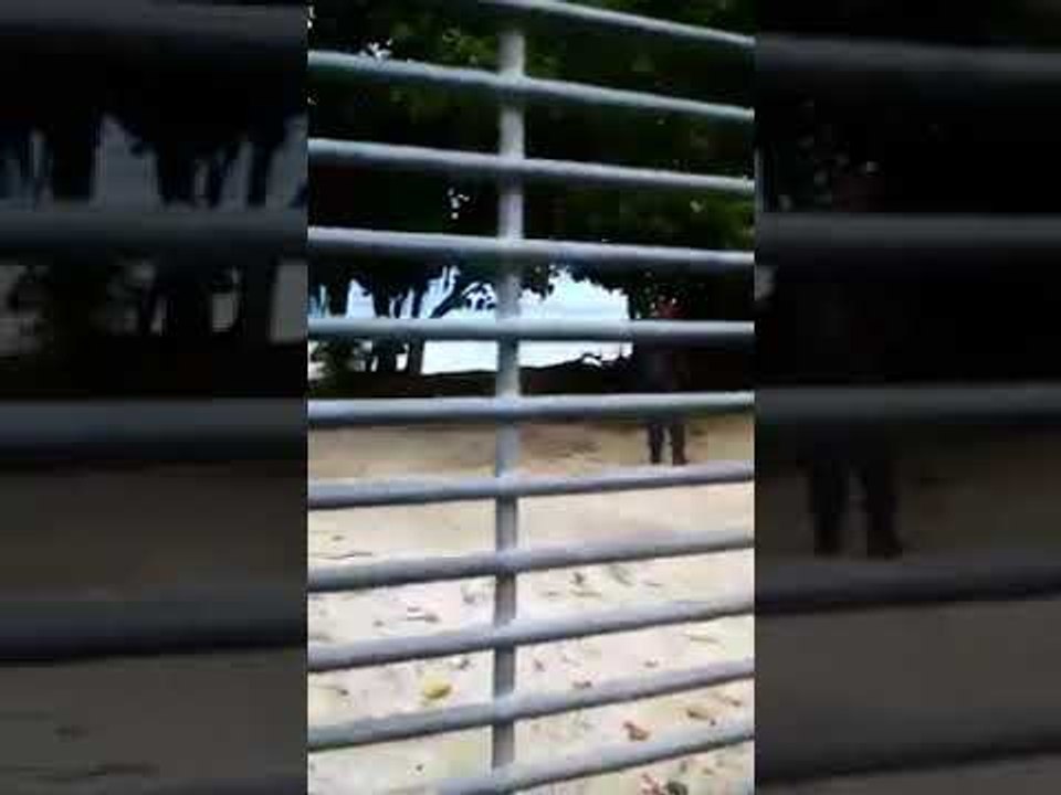 Boats Delivering Food to Manus Island Compound Stopped by Police, Refugees Say