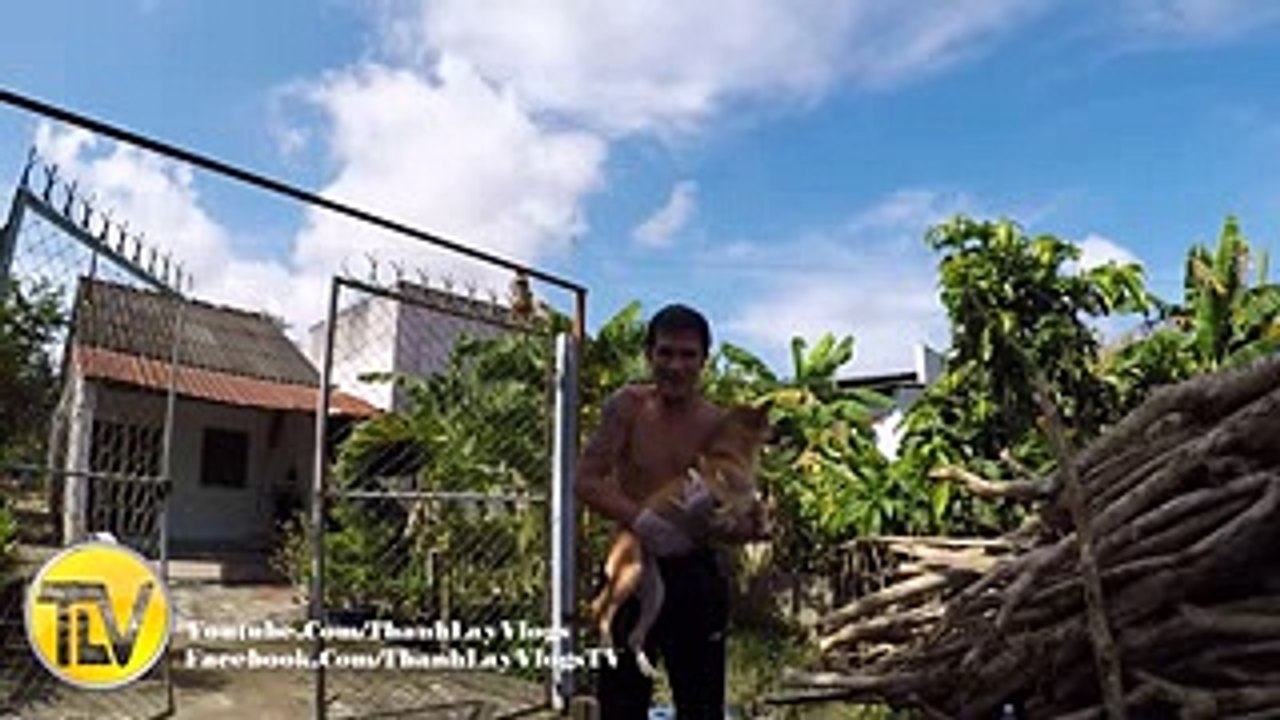 Thánh lầy xoạc chó khi quay ngược video sẽ như thế nào