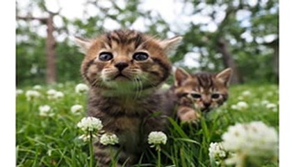 “娼夫”松坂桃李が再び！三浦大輔と再タッグで完全映画化『娼年』- 今日のニュース