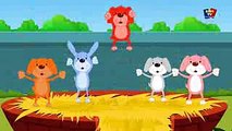 Cinq petits chiots  Enfants et rime bébé  Five Little Puppies Song  Nursery Rhyme & Kids Songs