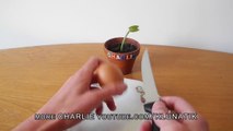 Charlie the Flytrap eating a boiled egg