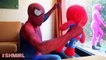 Pregnant PINK SPIDERGIRL Spiderbaby! vs Spiderman Baby Spidey & Frozen Elsa Funny Superheroes Movie