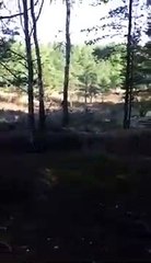 Ce soldat a eu la très mauvaise idée de s'endormir debout en plein exercice !