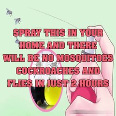 SPRAY THIS IN YOUR HOME AND THERE WILL BE NO MOSQUITOES, COCKROACHES AND FLIES IN JUST 2 HOURS