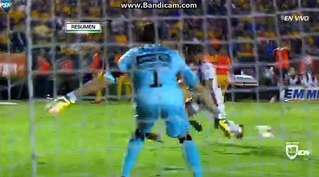 UANL Tigres vs Necaxa 1-0 ~ Goal & Highlights