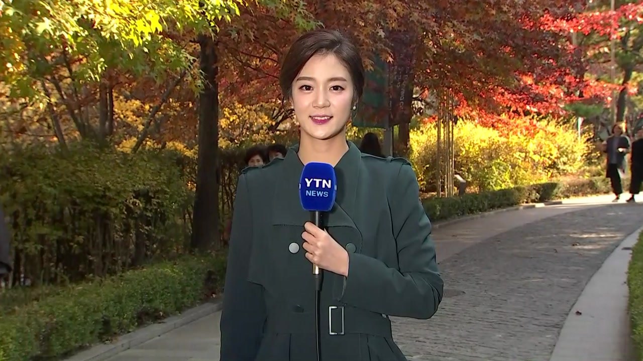 [날씨] 깊어가는 가을, 전국 쾌청...도심 단풍 절정 / YTN