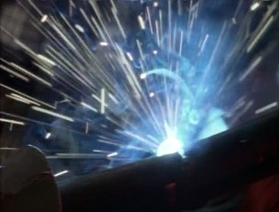 PaleoWorld Flesh on the Bone