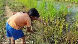 Terrifying!! Brave Little Sister and Brother Catch Biggest Snake While Finding Fish
