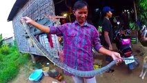 How To Cooking Snake In Cambodia -Amazing cooking snake for food at siem reap countryside