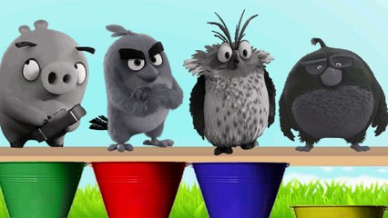 Learn colors from angry birds from bingo funny rhymes tv