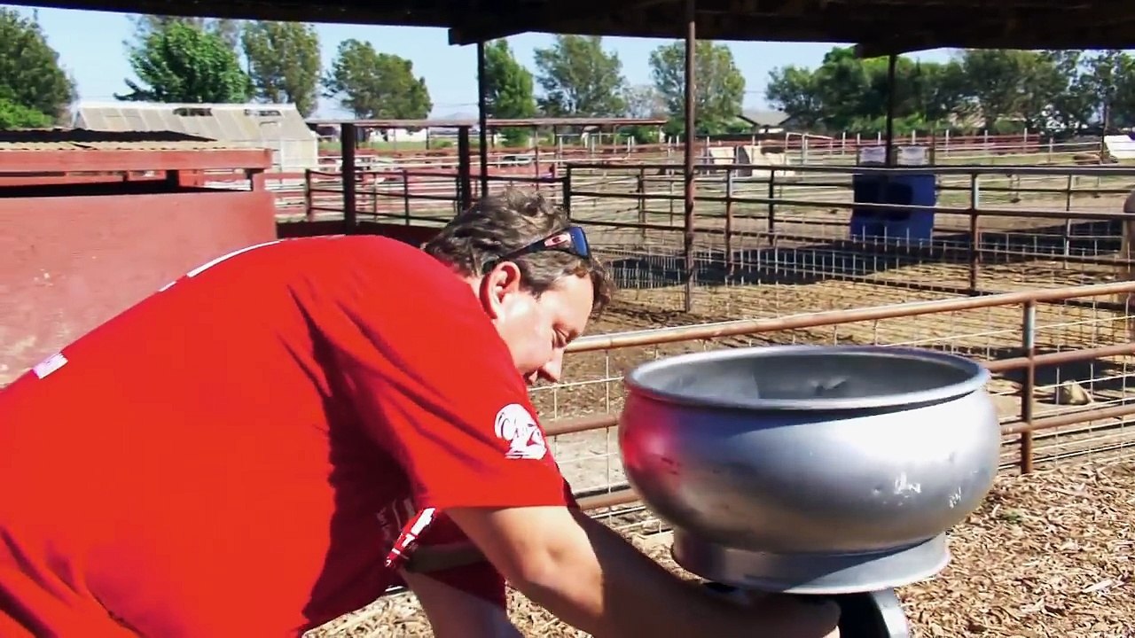 Storage Wars: Renes Cream Separator (Season 9, Episode 5) | A&E