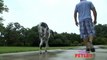 Guinness World Records 2017- World's tallest dog at 96.41cm