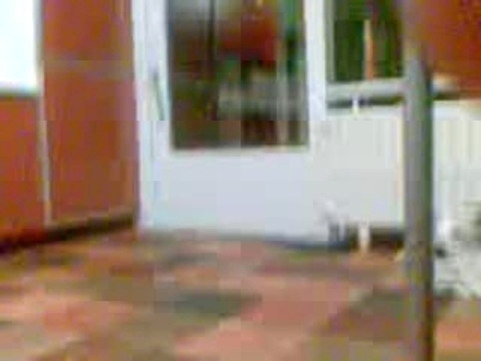 jumpstyle adri