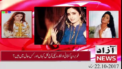 Adakara Neeli Kahan Aur Kis Haal Main Hain -