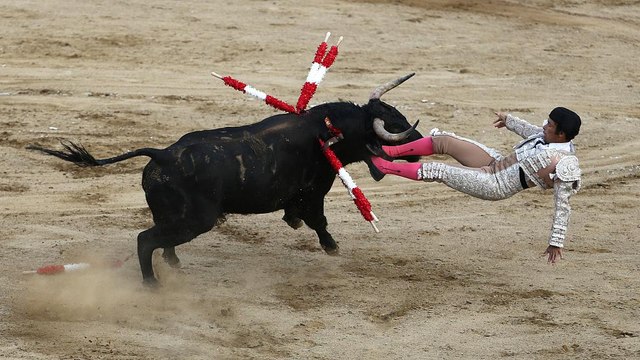 Lima: Ausschreitungen bei Protesten gegen Stierkampf
