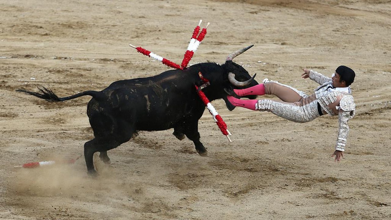 Lima: Ausschreitungen bei Protesten gegen Stierkampf