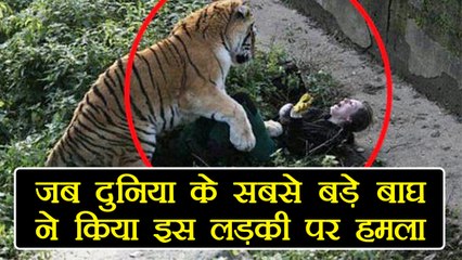Bizarre:  जब दुनिया के सबसे खतरनाक Siberian Tiger ने किया इस लड़की पर हमला  | वनइंडिया हिंदी
