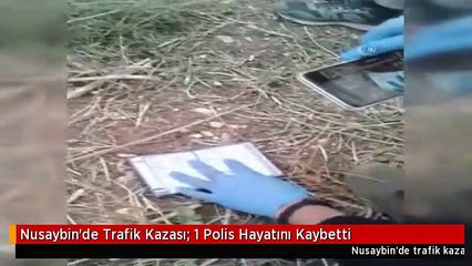 Nusaybin'de Trafik Kazası: 1 Polis Hayatını Kaybetti