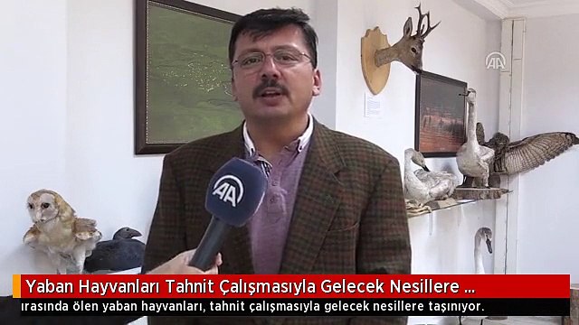 Yaban Hayvanları Tahnit Çalışmasıyla Gelecek Nesillere Taşınıyor