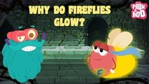 Fireflies | The Dr. Binocs Show | Best Learning Video For kids By Peekaboo kidz | Education Video