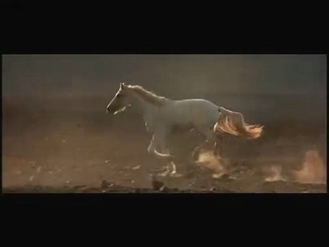 HAMID Bouchnak حمـيد بـوشنـاق Comme si c'était.. Clip EXLU