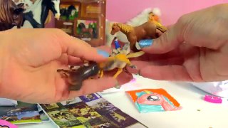 Surprise Toys, Homemade Blind Bags, Box 1 of 4 Honeyheartsc Horse Fan Mail