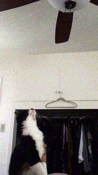 So close, yet so far away