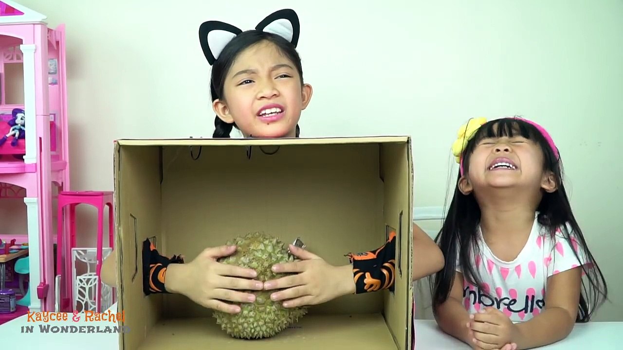 WHATS IN THE BOX CHALLENGE Kaycee & Rachel in Wonderland