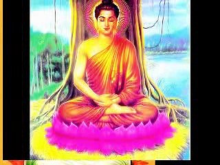 GIEO NHÂN GẶT QUẢ