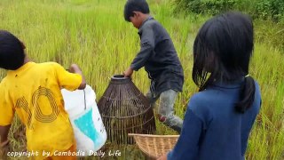 Children Fishing With Khmer Traditional Tools After Heavy Raining