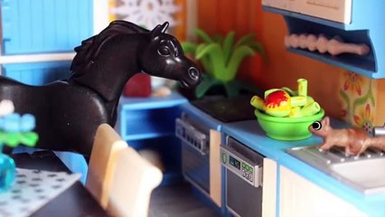 Playmobil Film deutsch PFERD ENTLAUFEN Hans-Peter SunPlayerONE Playmobilserie