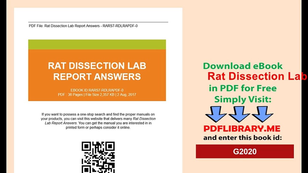 Rat Dissection Lab Report Answers